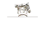 Marrion Fire and Risk Consulting